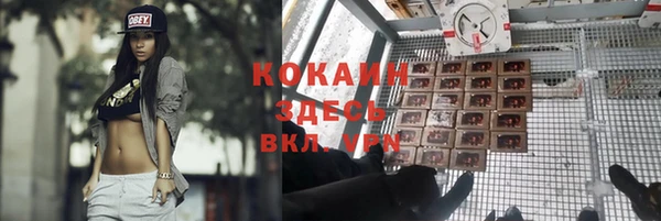 ECSTASY Ельня