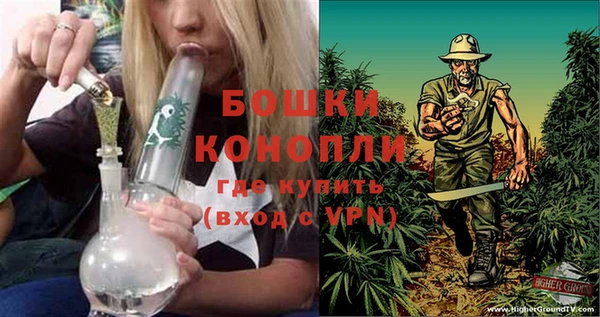ALPHA PVP Елизово