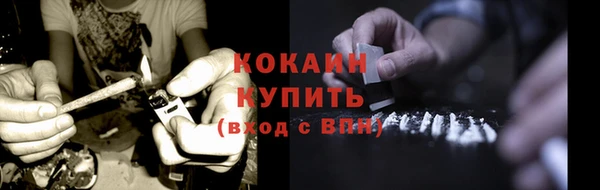 ALPHA PVP Елизово