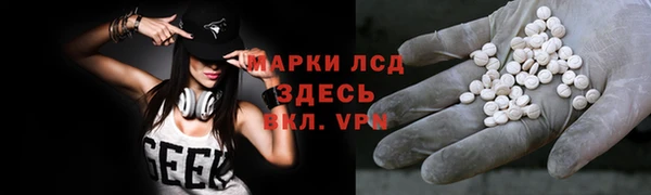 ECSTASY Ельня