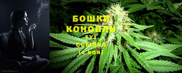 PSILOCYBIN Дмитриев