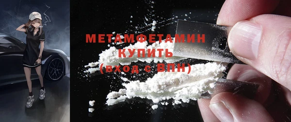 PSILOCYBIN Дмитриев